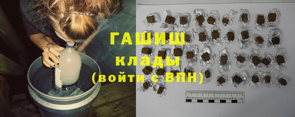прущие грибы Абаза