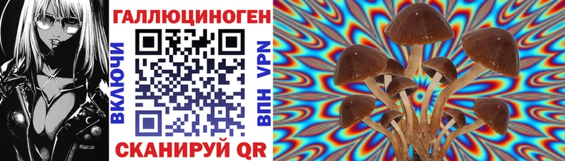 Псилоцибиновые грибы Cubensis  omg рабочий сайт  Дмитриев 